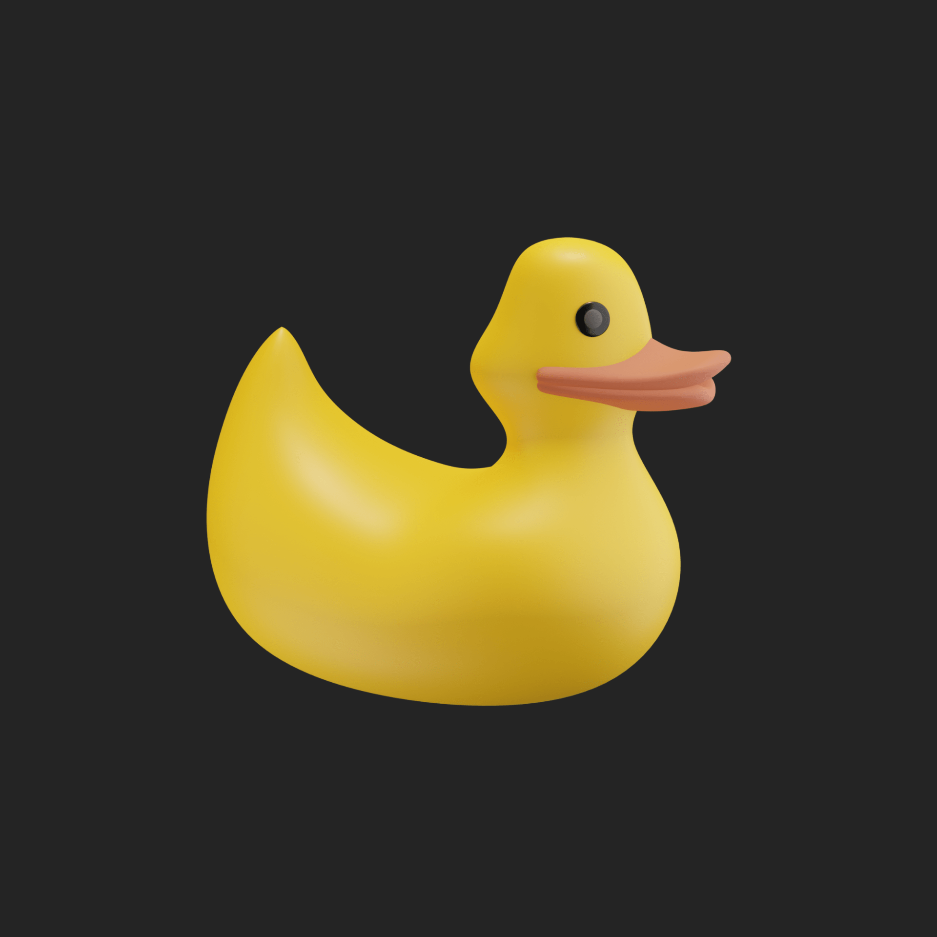 duck