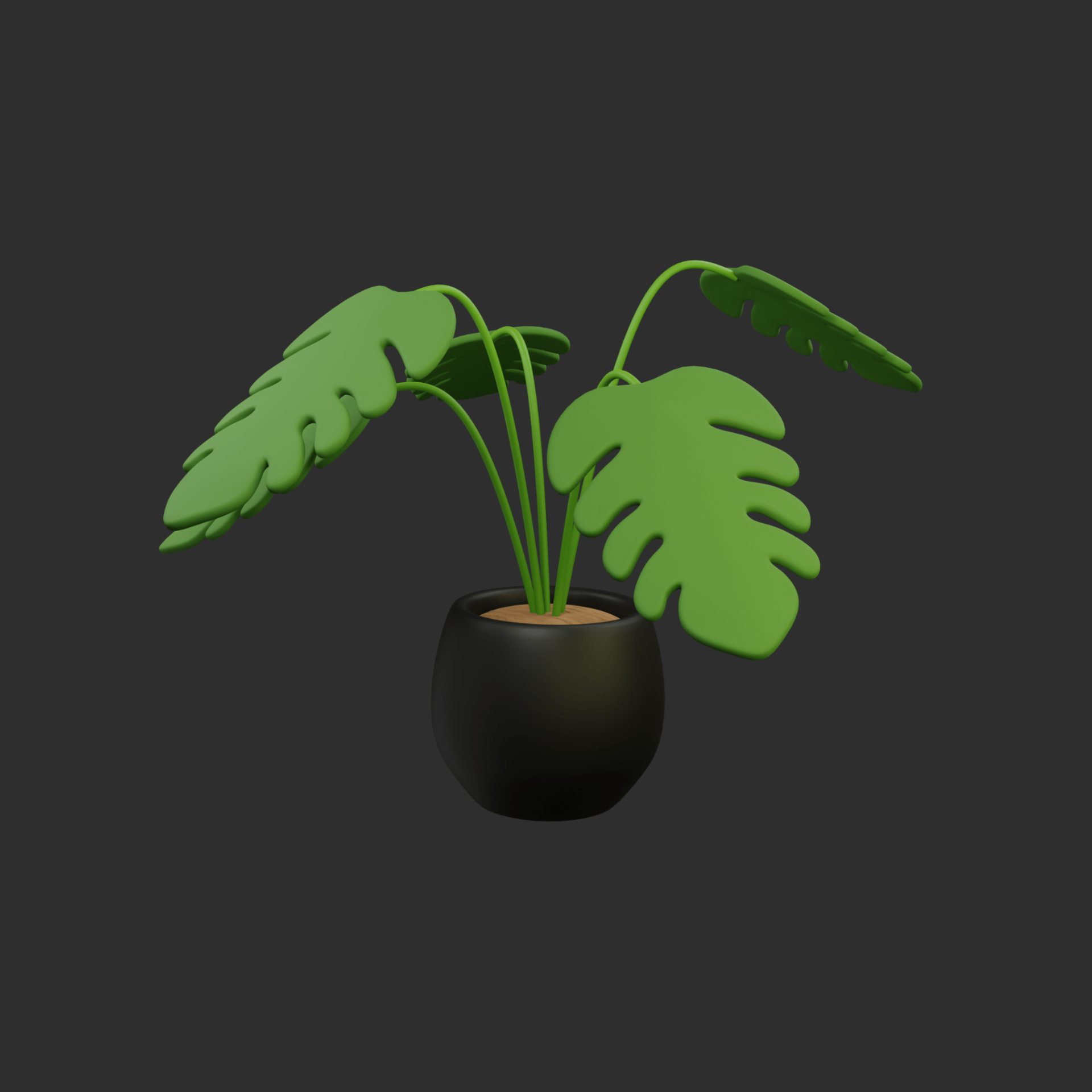 indoor-plant